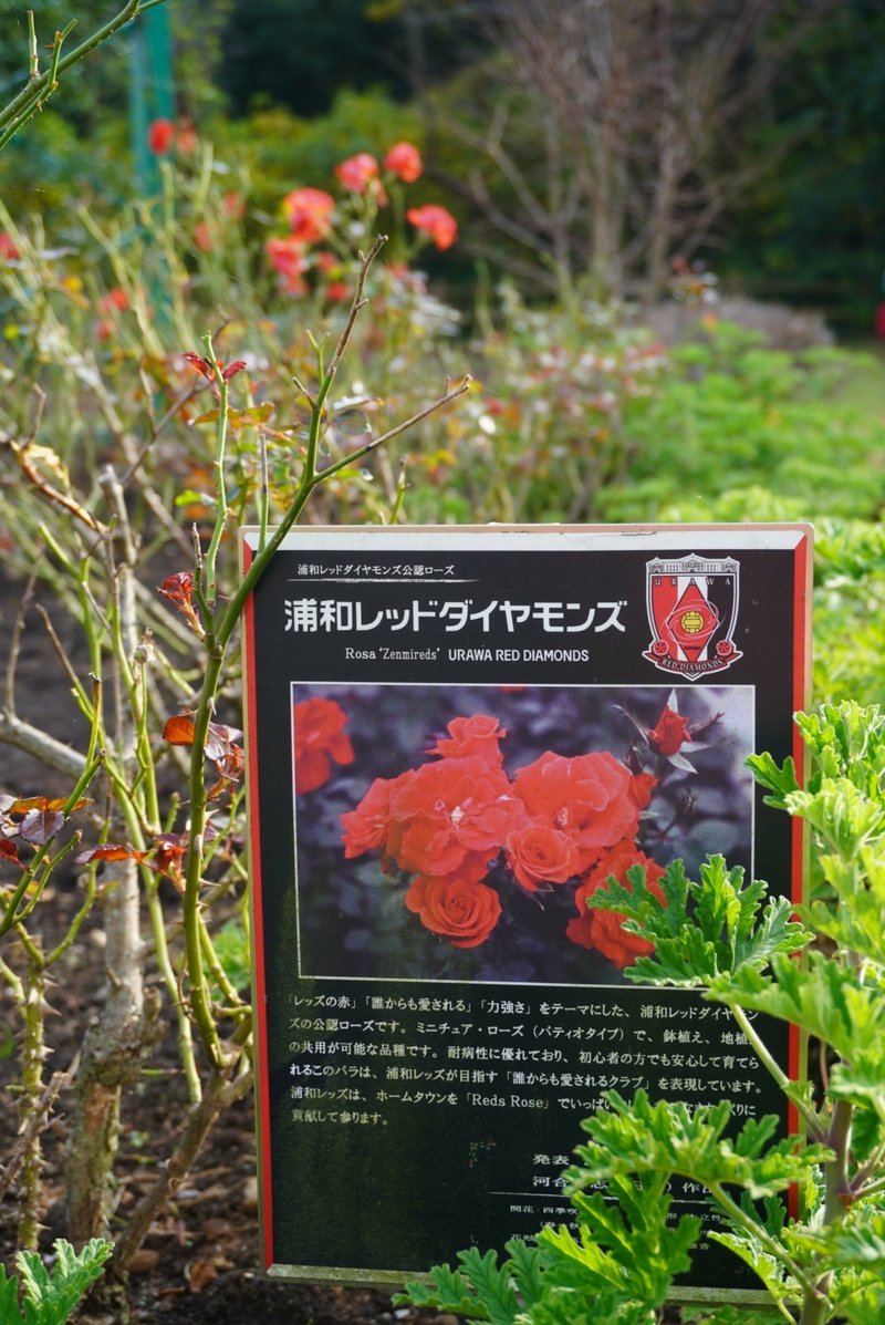 しもつけ道の駅 の新着タグ記事一覧 Note つくる つながる とどける