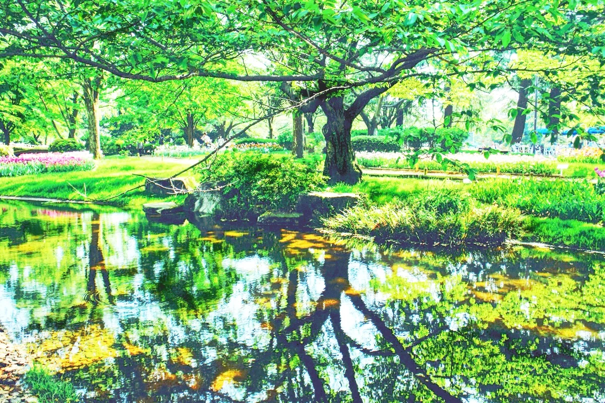 画像