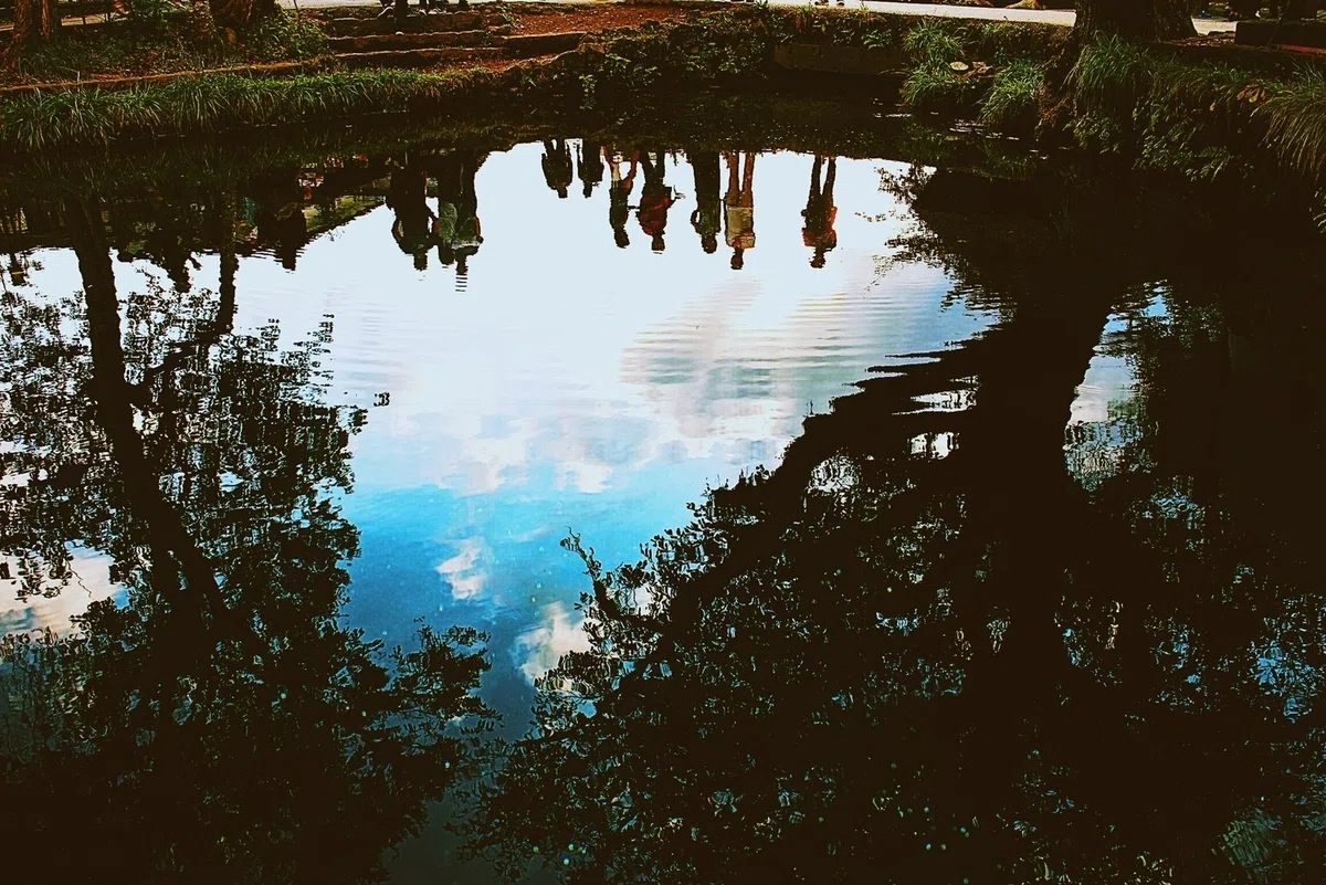 画像
