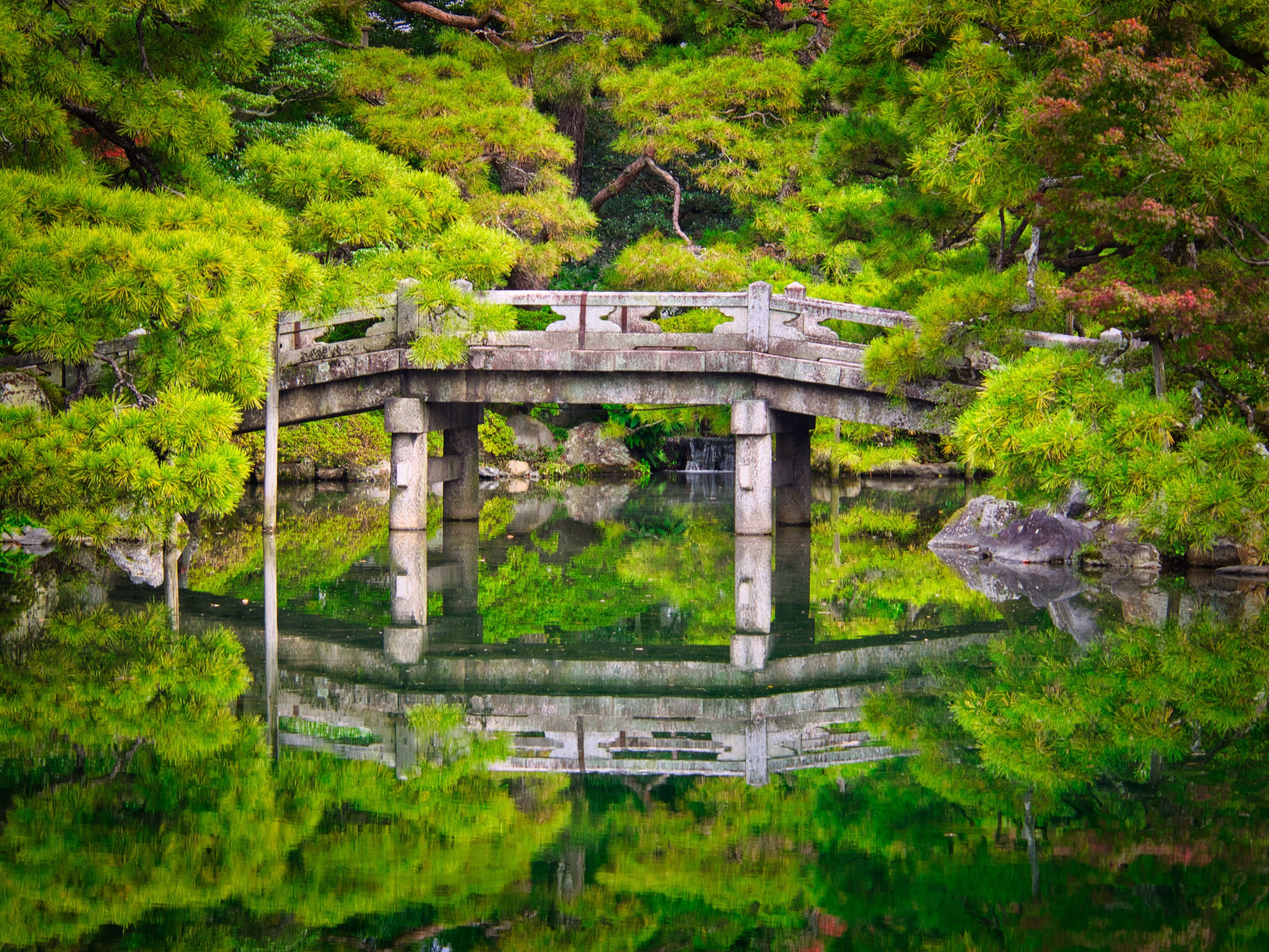 緑の中の太鼓橋 クロノツカヤ Note 緑の中の太鼓橋 クロノツカヤ Note