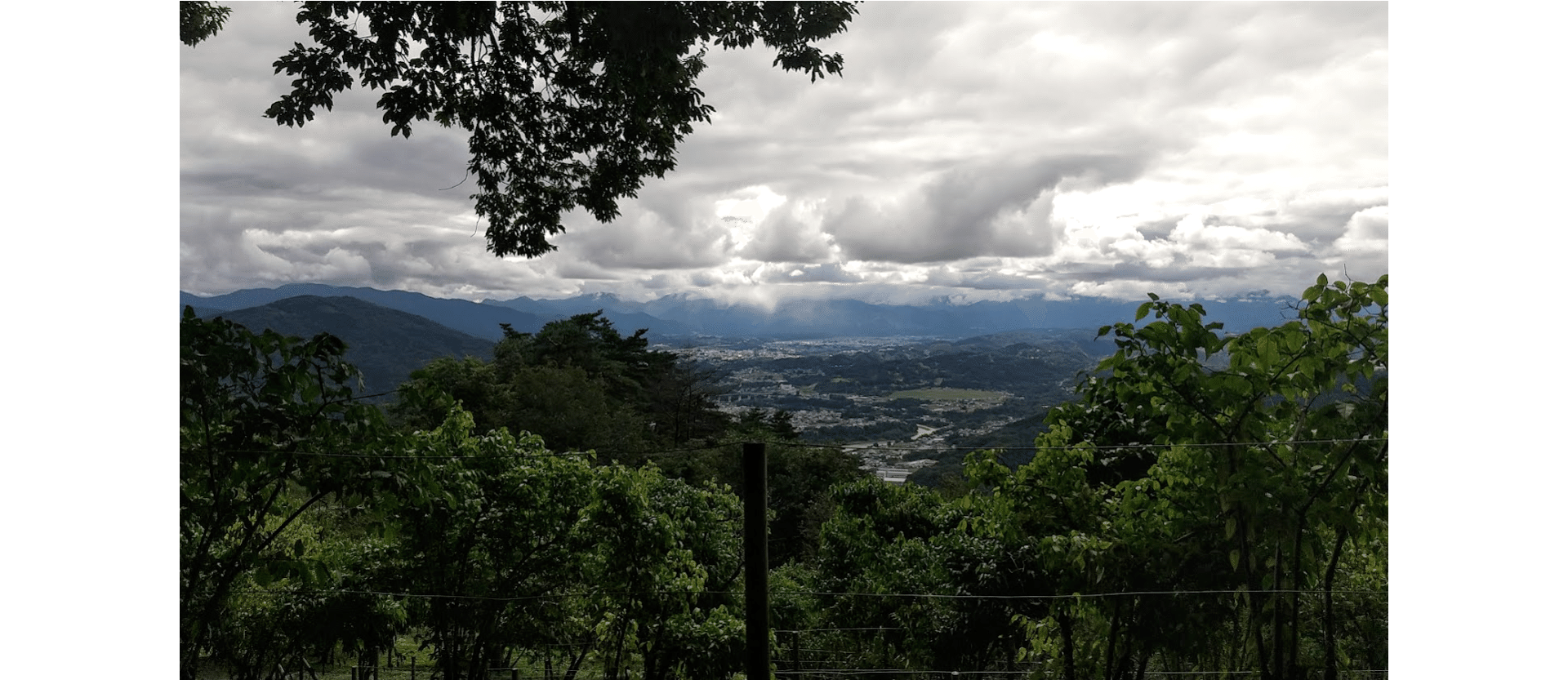 登山フォト日記 宝登山 奥秩父 あずにゃん日記 Note