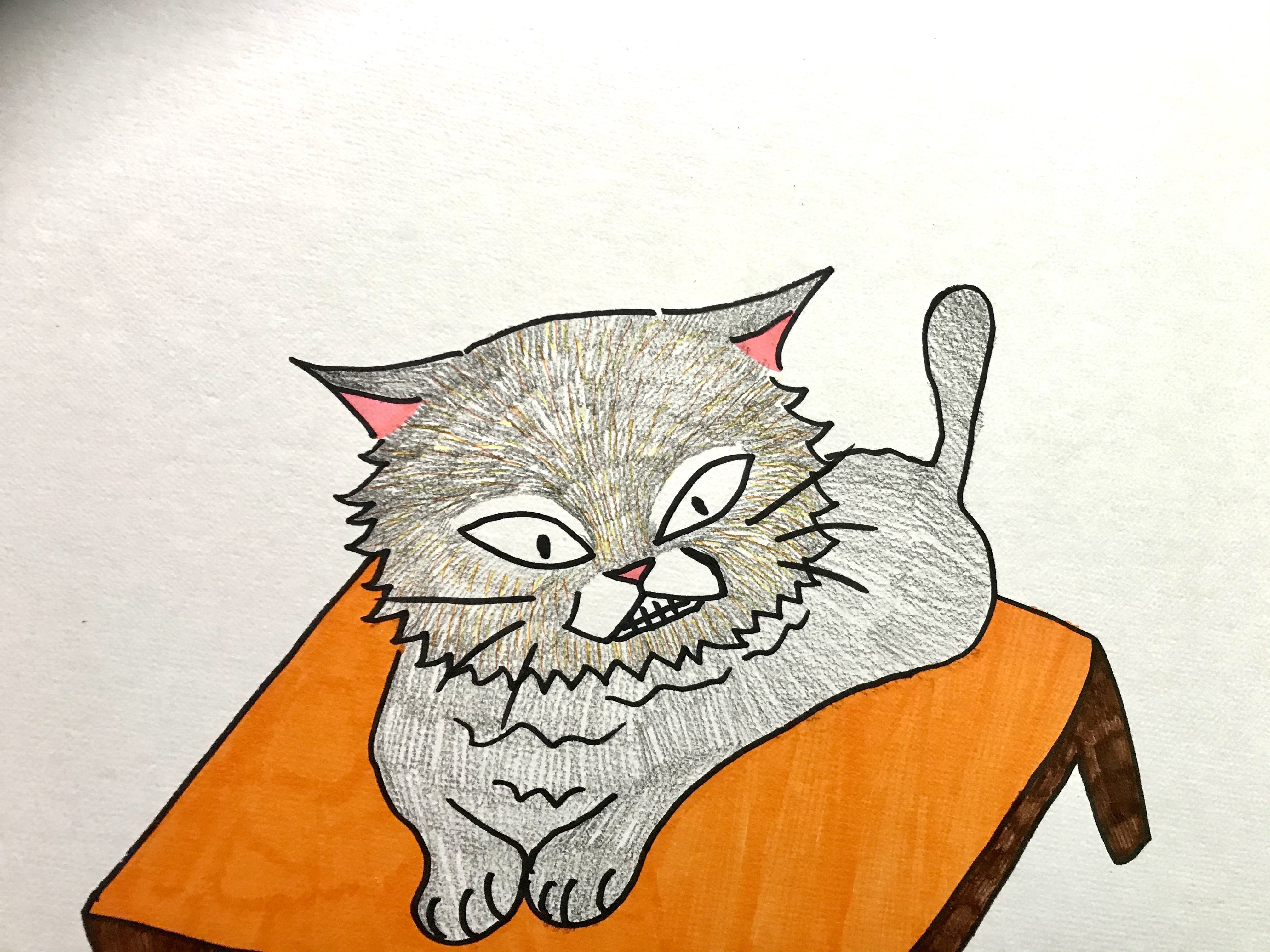 夜食がもらえるまでテーブルを離れない猫😸(猫のイラスト)|ココ次郎