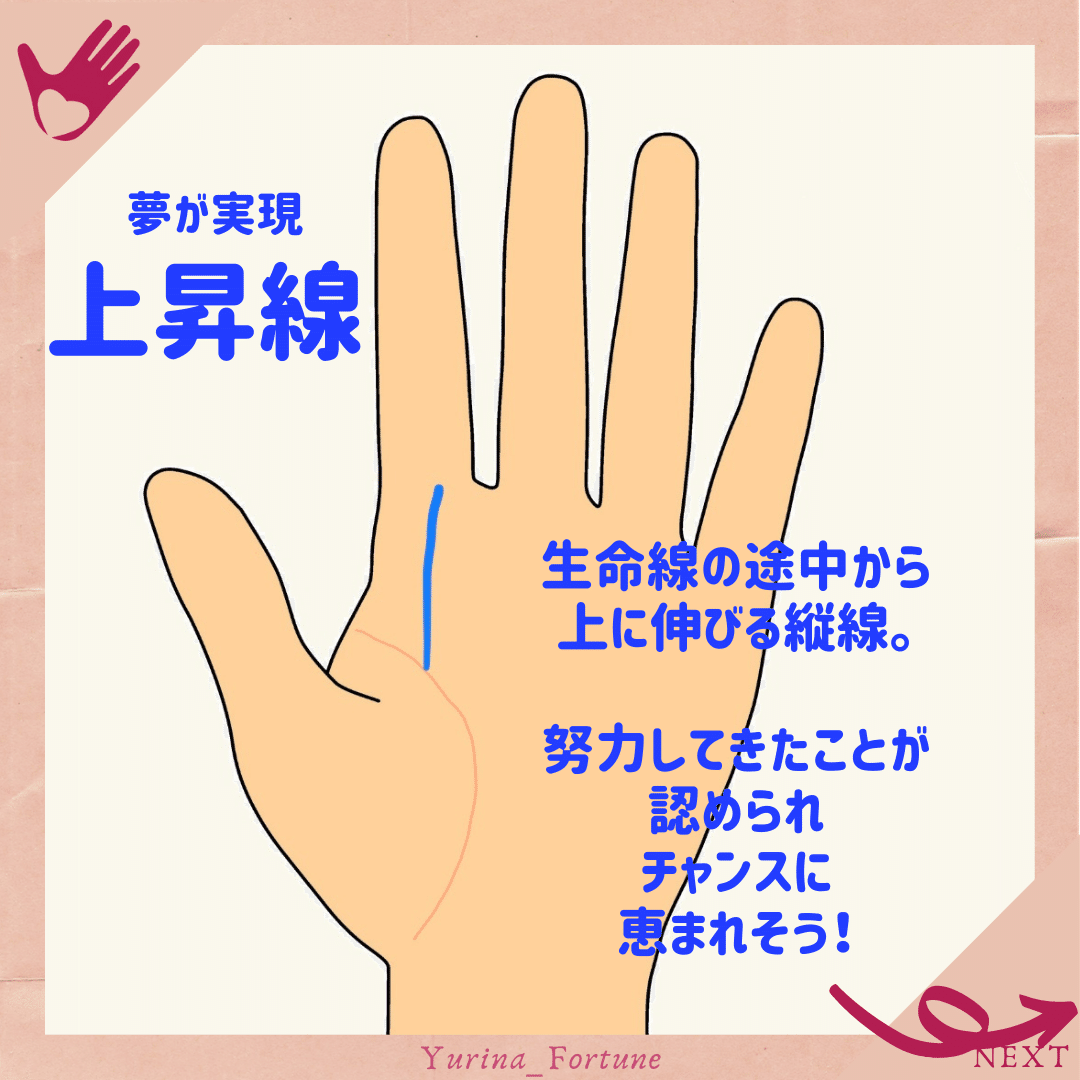 手相 出世 成功する相４選 屋敷ユリナ Note