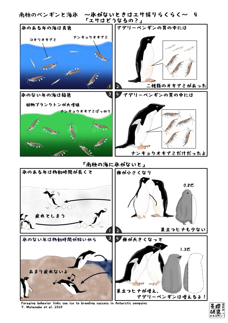 南極のペンギンと海氷 氷がないときはエサ採りらくらく かわいせーざん 基礎研究っておもしろい 生物編 Note
