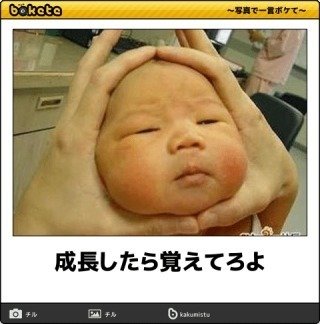 スリッパ入れ ゆきっこ Note