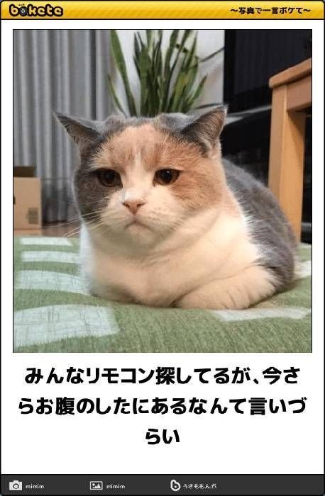 スリッパ入れ ゆきっこ Note