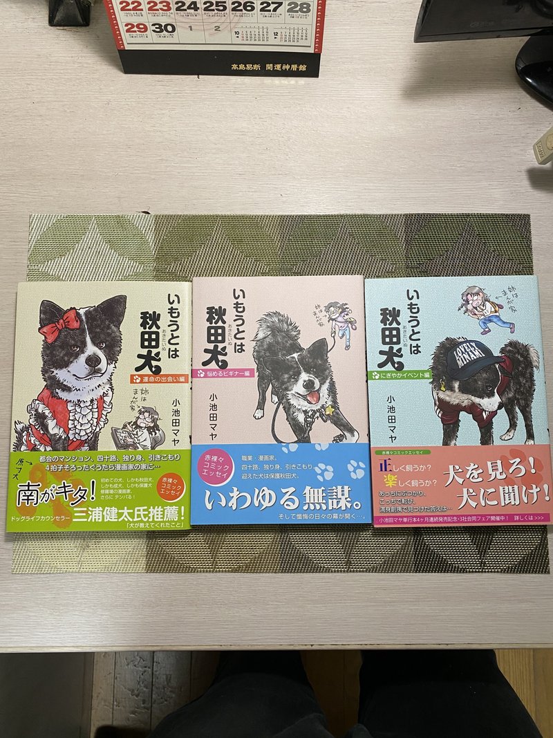 小池田マヤ の新着タグ記事一覧 Note つくる つながる とどける