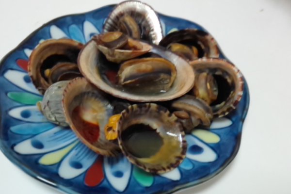 マツバガイ の新着タグ記事一覧 Note つくる つながる とどける マツバガイ の新着タグ記事一覧 Note つくる つながる とどける