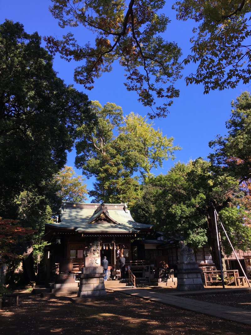 目黒区八雲・氷川神社・http://www.tokyo-jinjacho.or.jp/meguro/5278/　