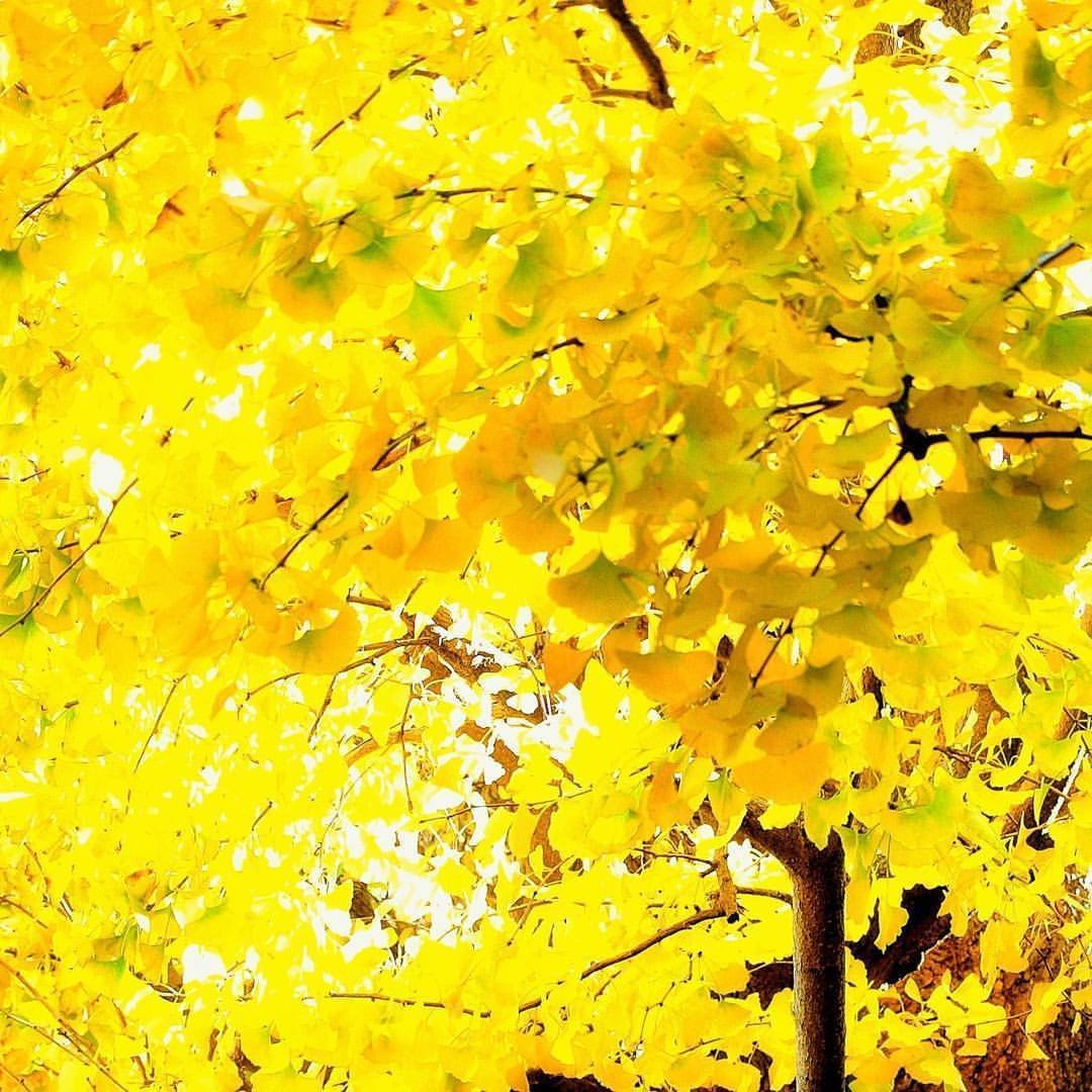 溶ける 田川ミメイ Note