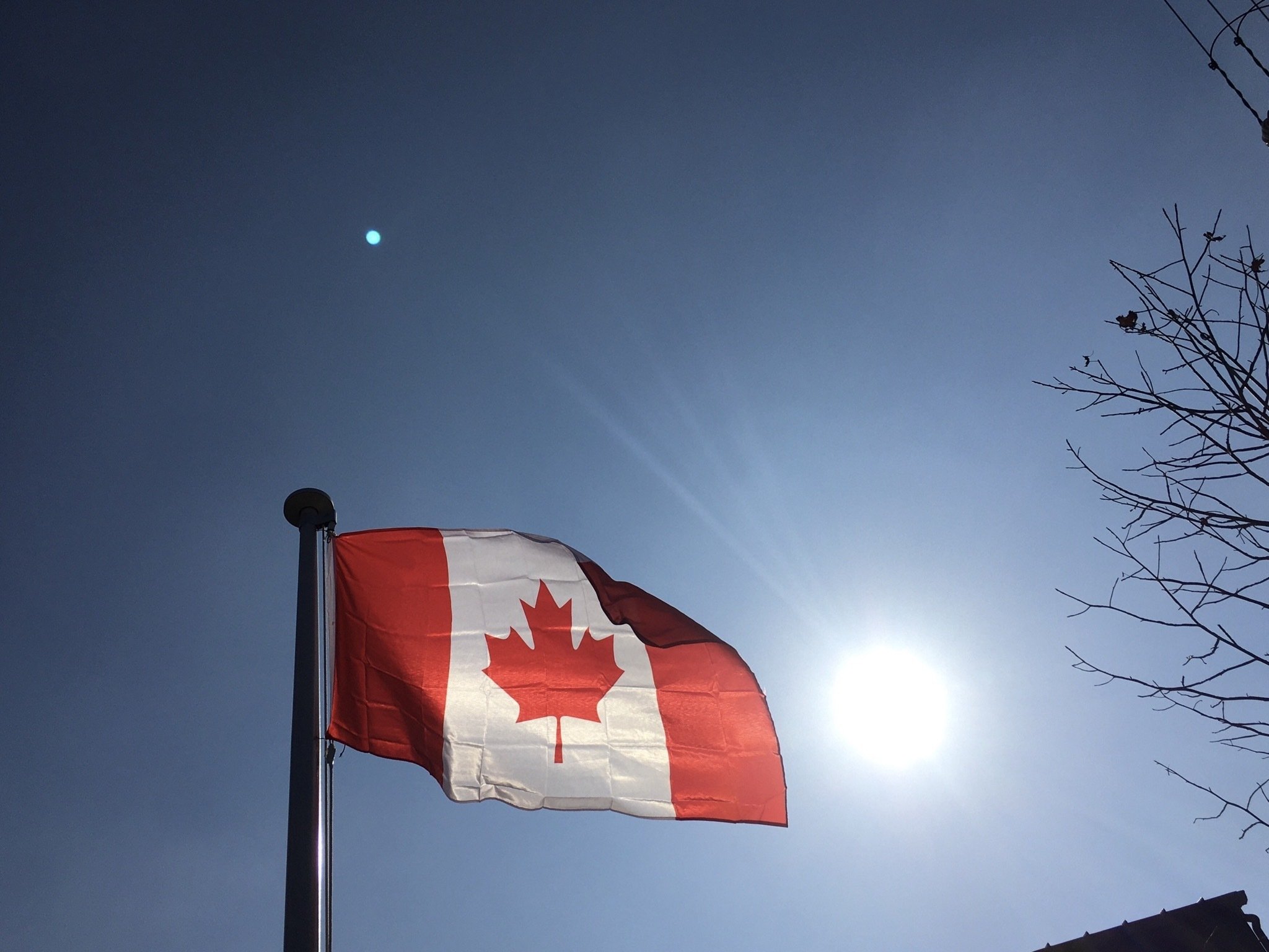 写真素材 とーこ Note