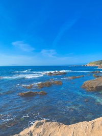 この花をみると図書館戦争を思い出す Ayum Note