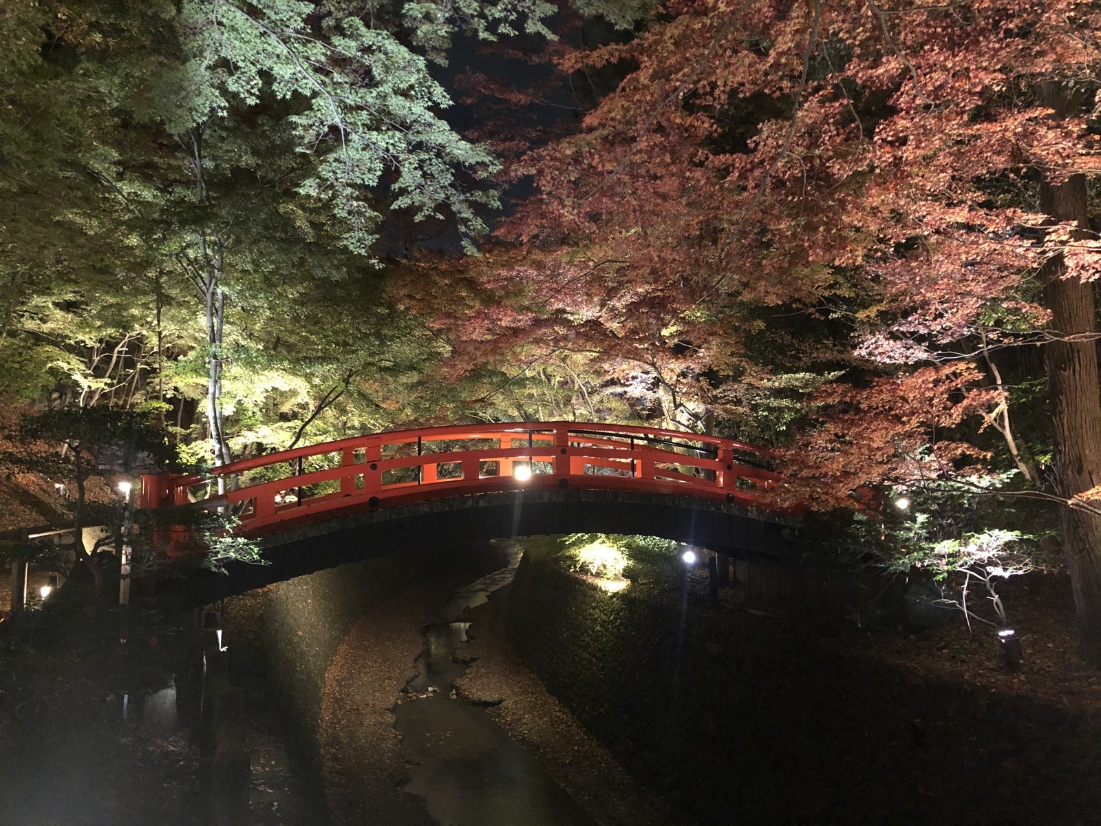 北野天満宮 紅葉ライトアップ リンク Note