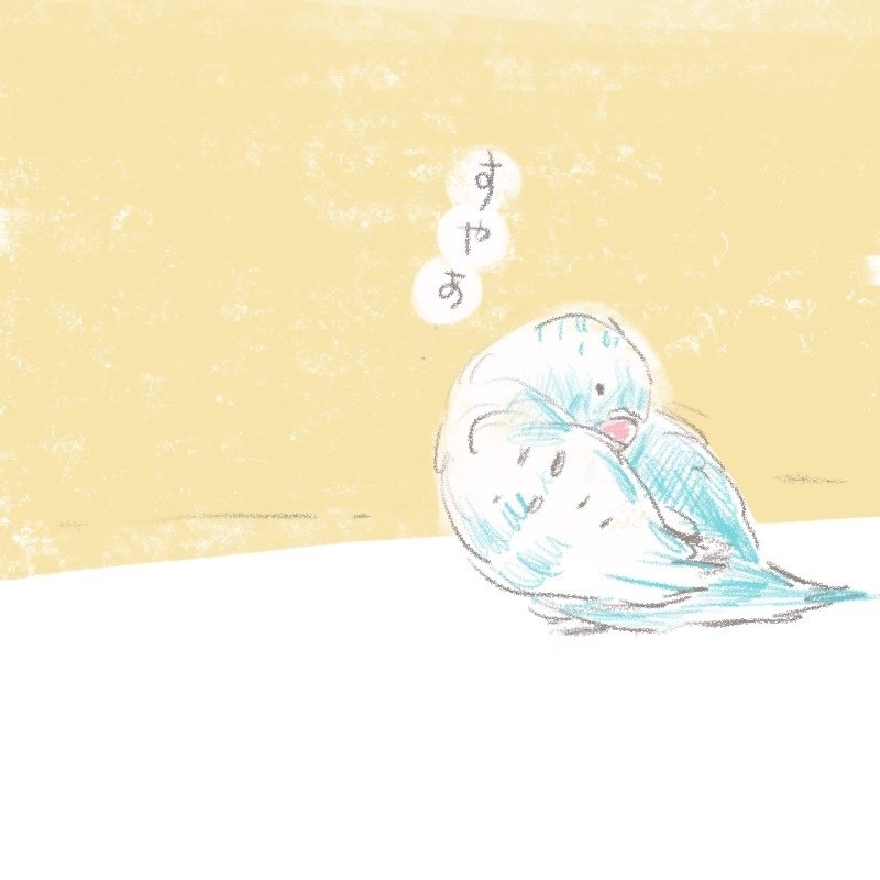 セキセイインコ可愛い 葛飾さん Note