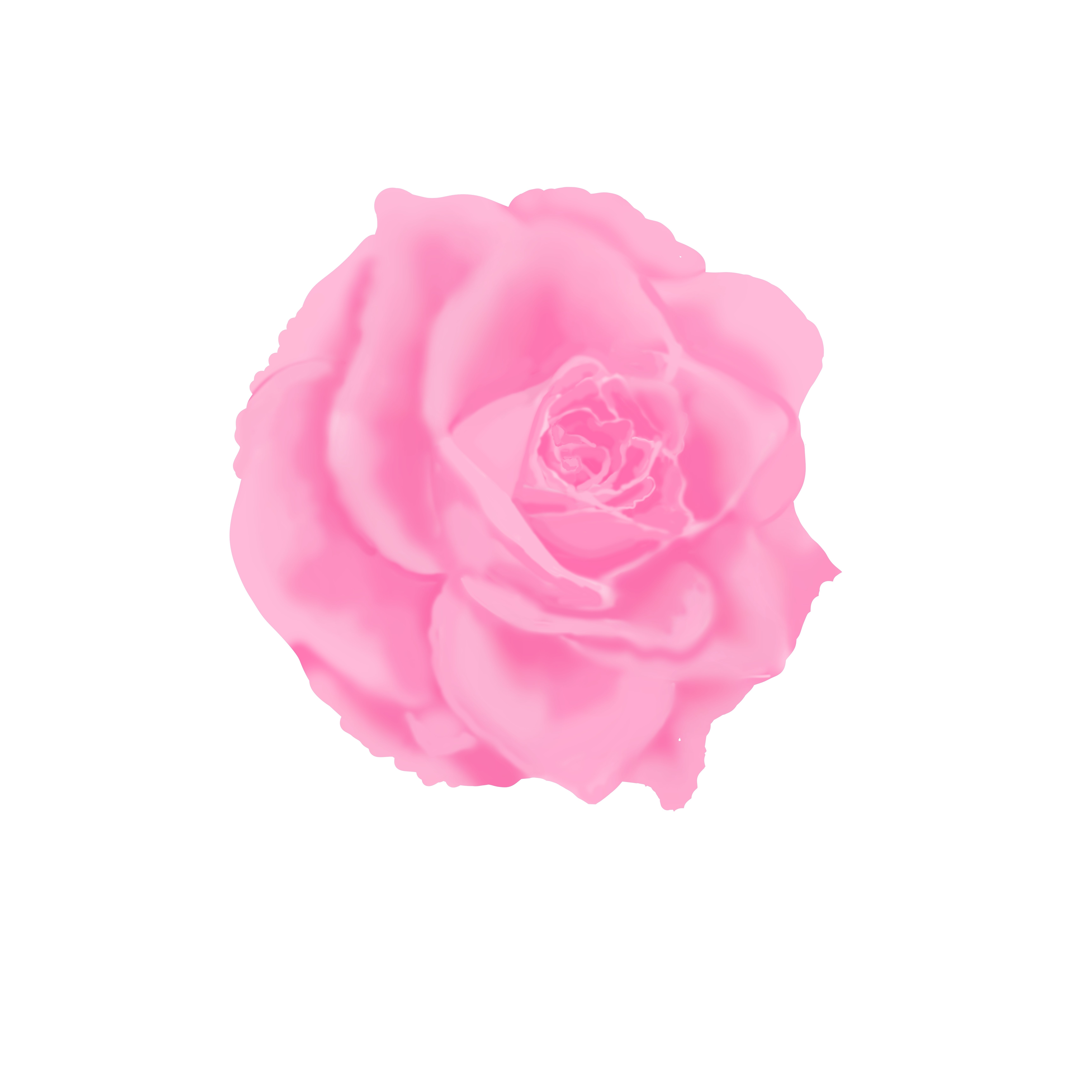 薔薇の練習 Rmia Note