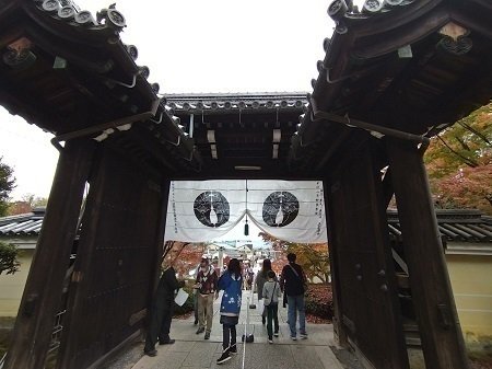 年11月 京都 長岡京 光明寺 に紅葉を観に行ってきました ぐるぐる Note