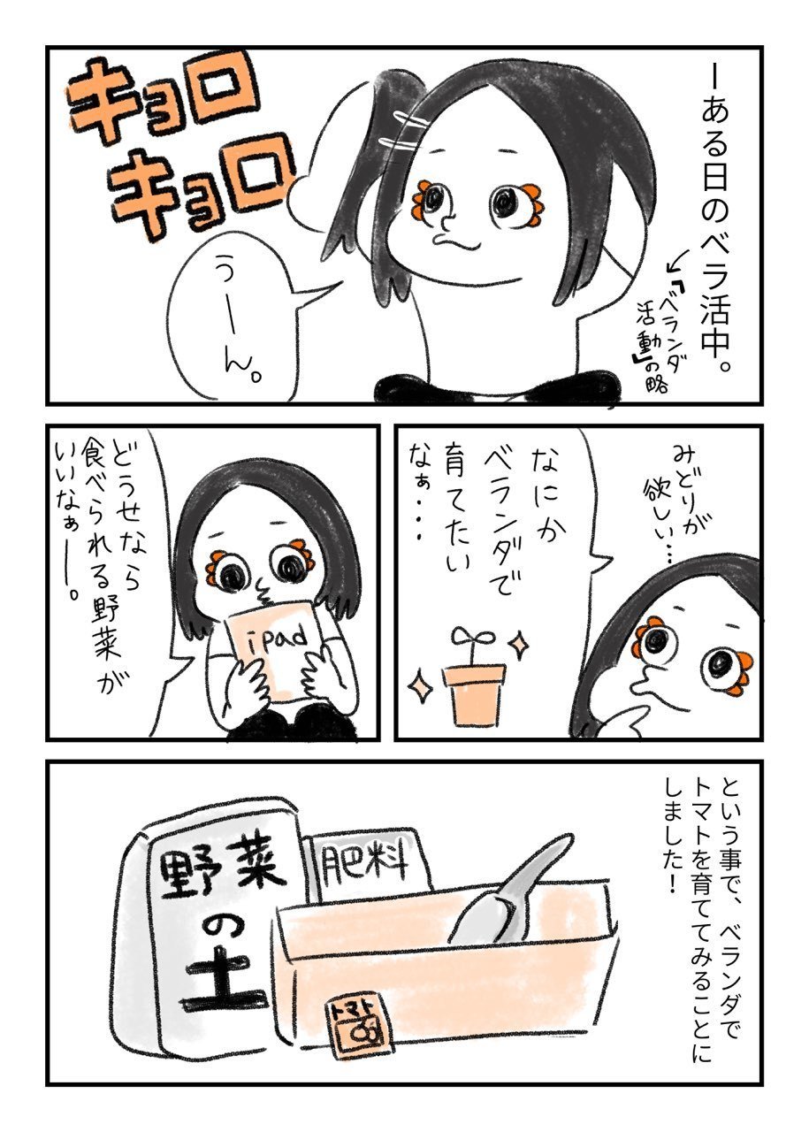 第4話 出不精女がゆるくベランダ活動始めてみた ベランダ菜園に挑戦 さらにdiyをやるぞ 浅水アサム Note 第4話 出不精女がゆるくベランダ活動始めてみた ベランダ菜園に挑戦 さらにdiyをやるぞ 浅水アサム Note