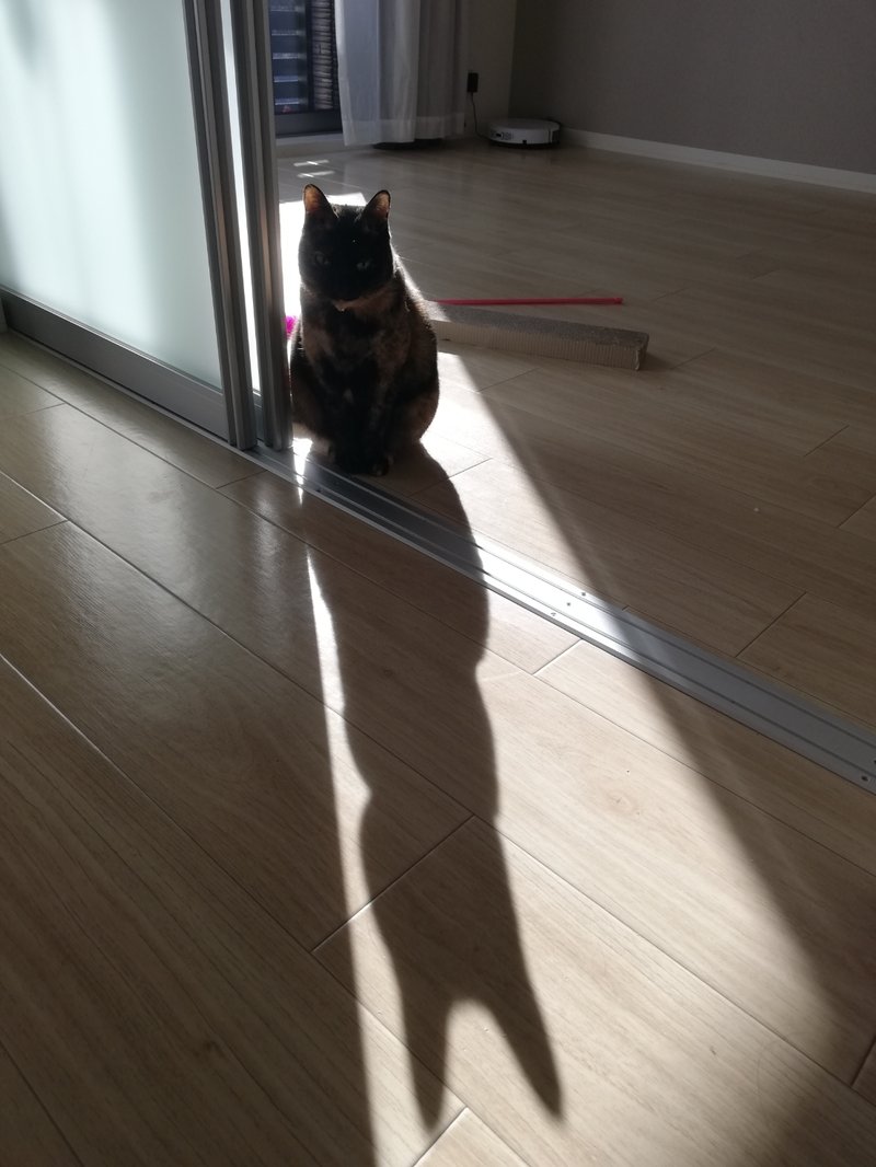 ブレーメンの音楽隊 の新着タグ記事一覧 Note つくる つながる とどける