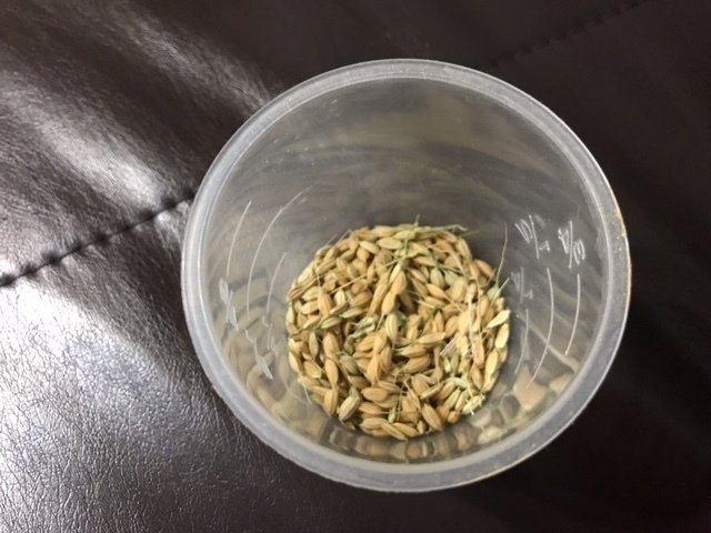 釧路のaさんからの報告です H B C ラジオ 美原のお米をみんなで見守ろう Note