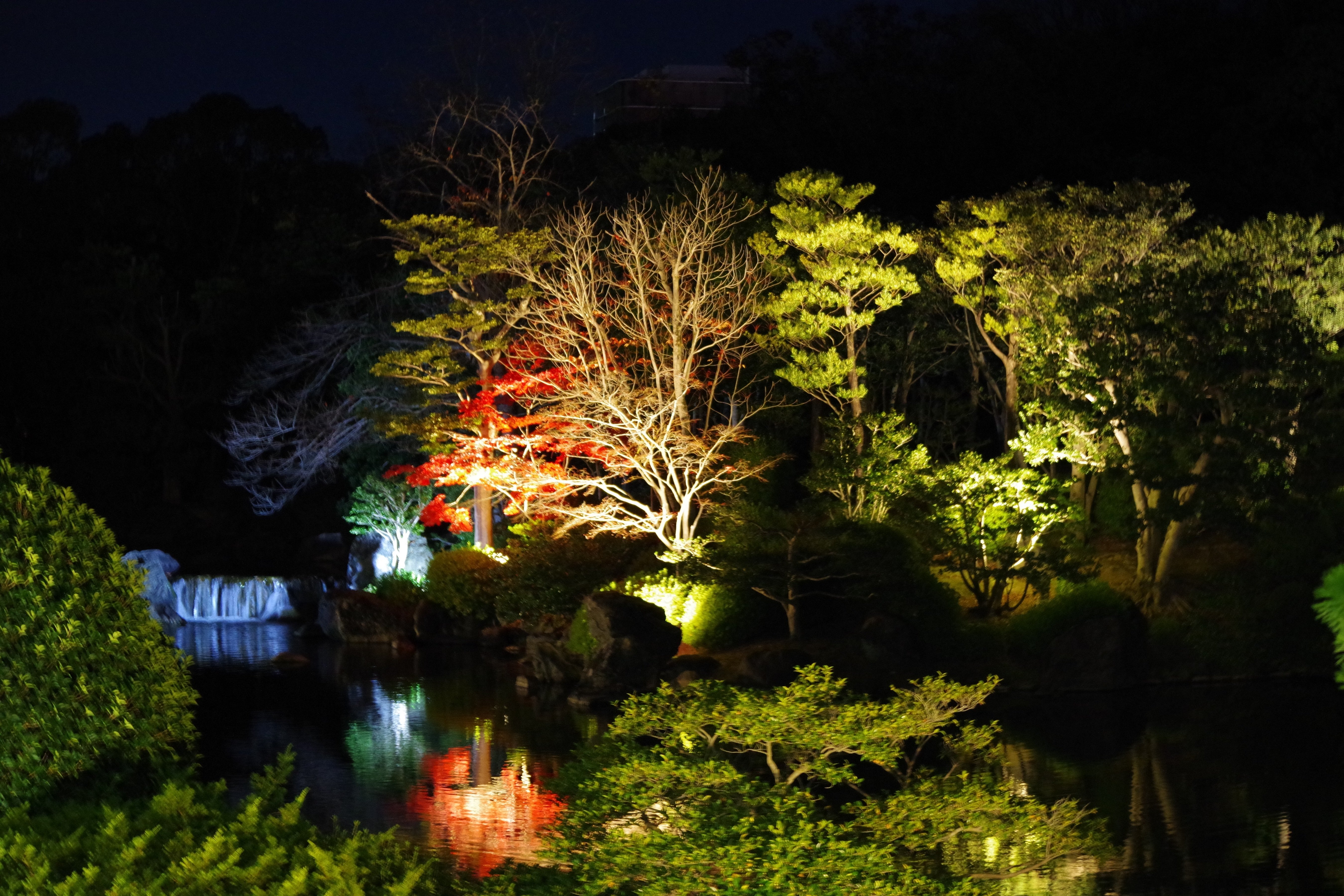 紅葉祭り 日本庭園夜間ライトアップ 万博記念公園 11 22 よく晴れたアルウィンで Note