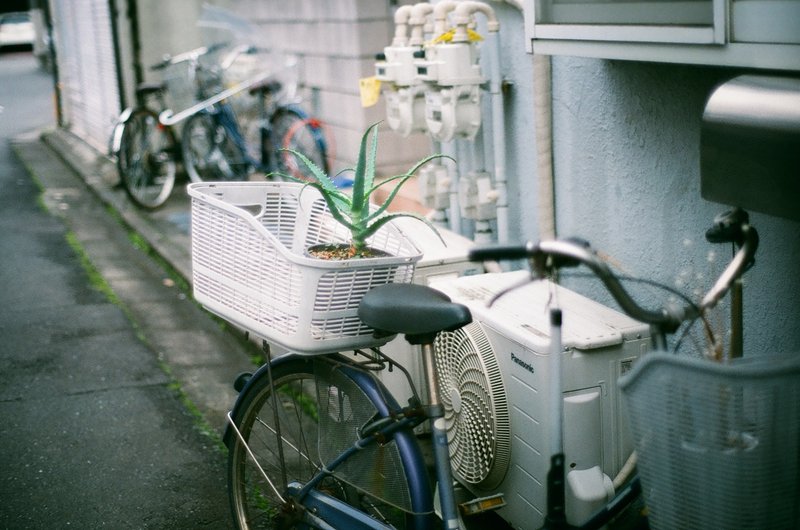 前にも、後ろにも、植物をのせてる自転車。
