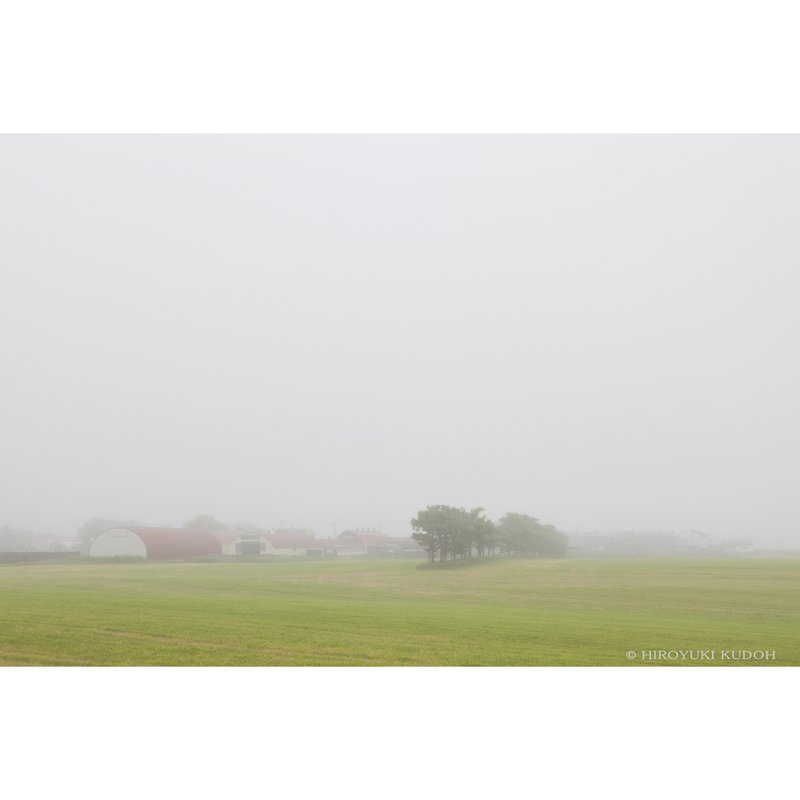 濃霧に霞む牧場風景   Sarufutsu,Hokkaido,Japan 北海道/猿払村