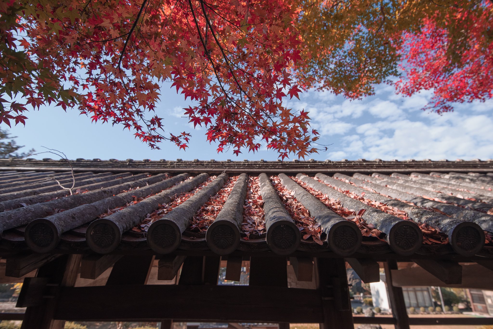 岡山県 吉備津神社 の紅葉 Pentax K 1 Mk2 Dfa15 30mmf2 8 Yuta録 Note