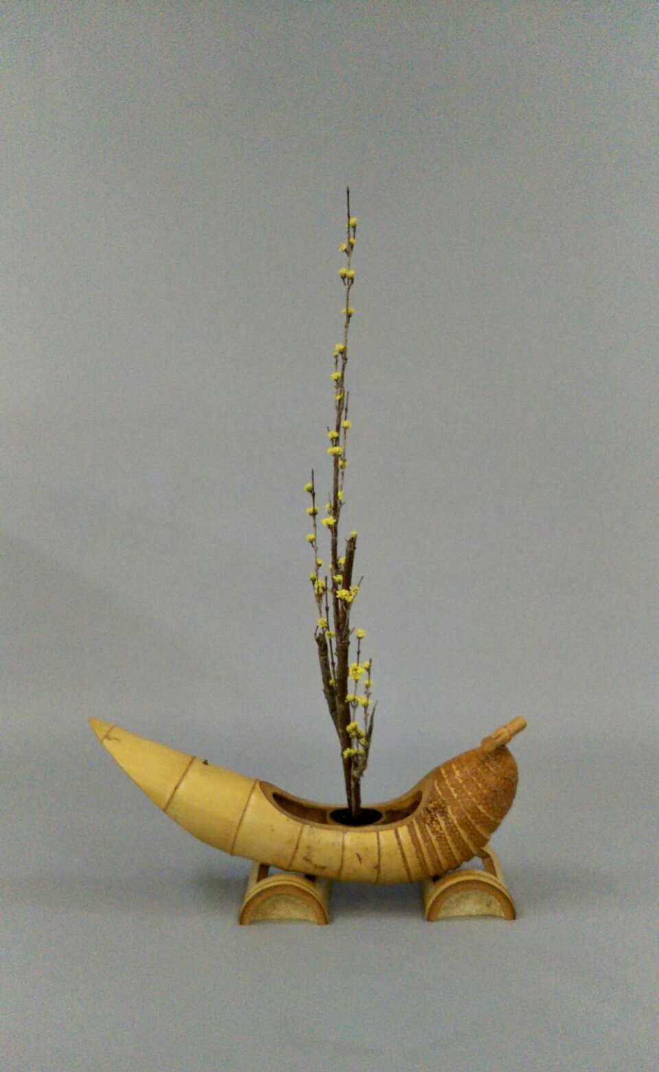 格花（変化生け）｜澄洋（ちょうよう）