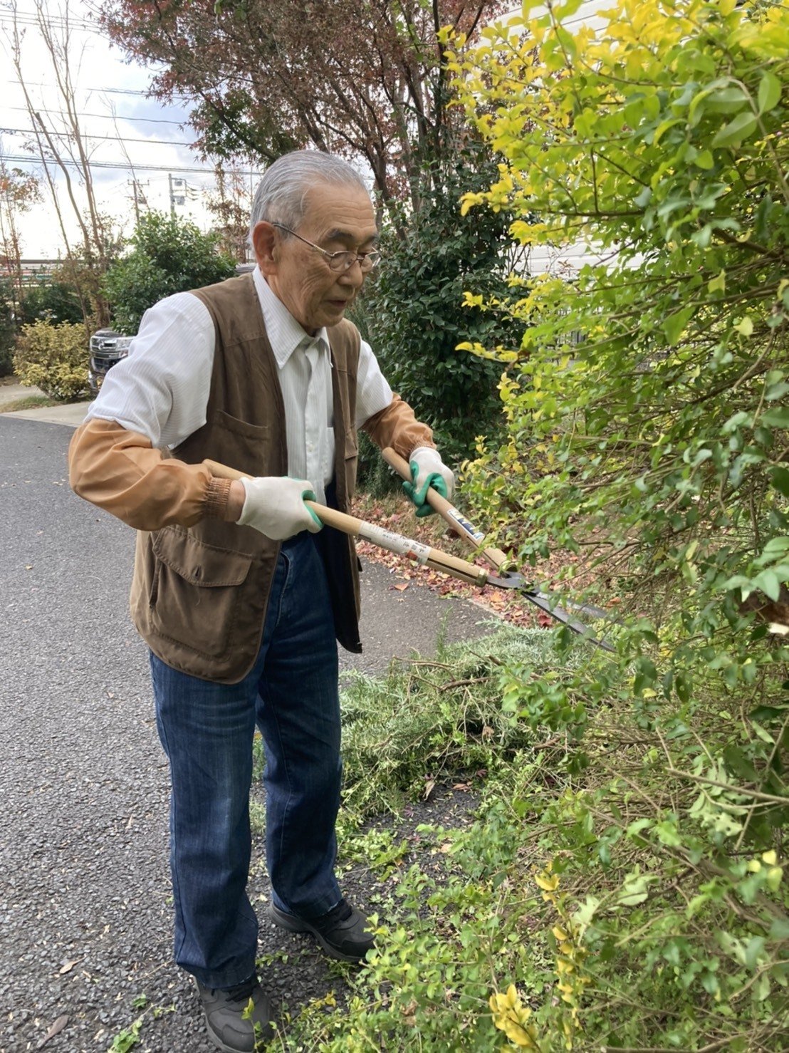 庭のお手入れ 銀木犀 鎌ヶ谷富岡 Note