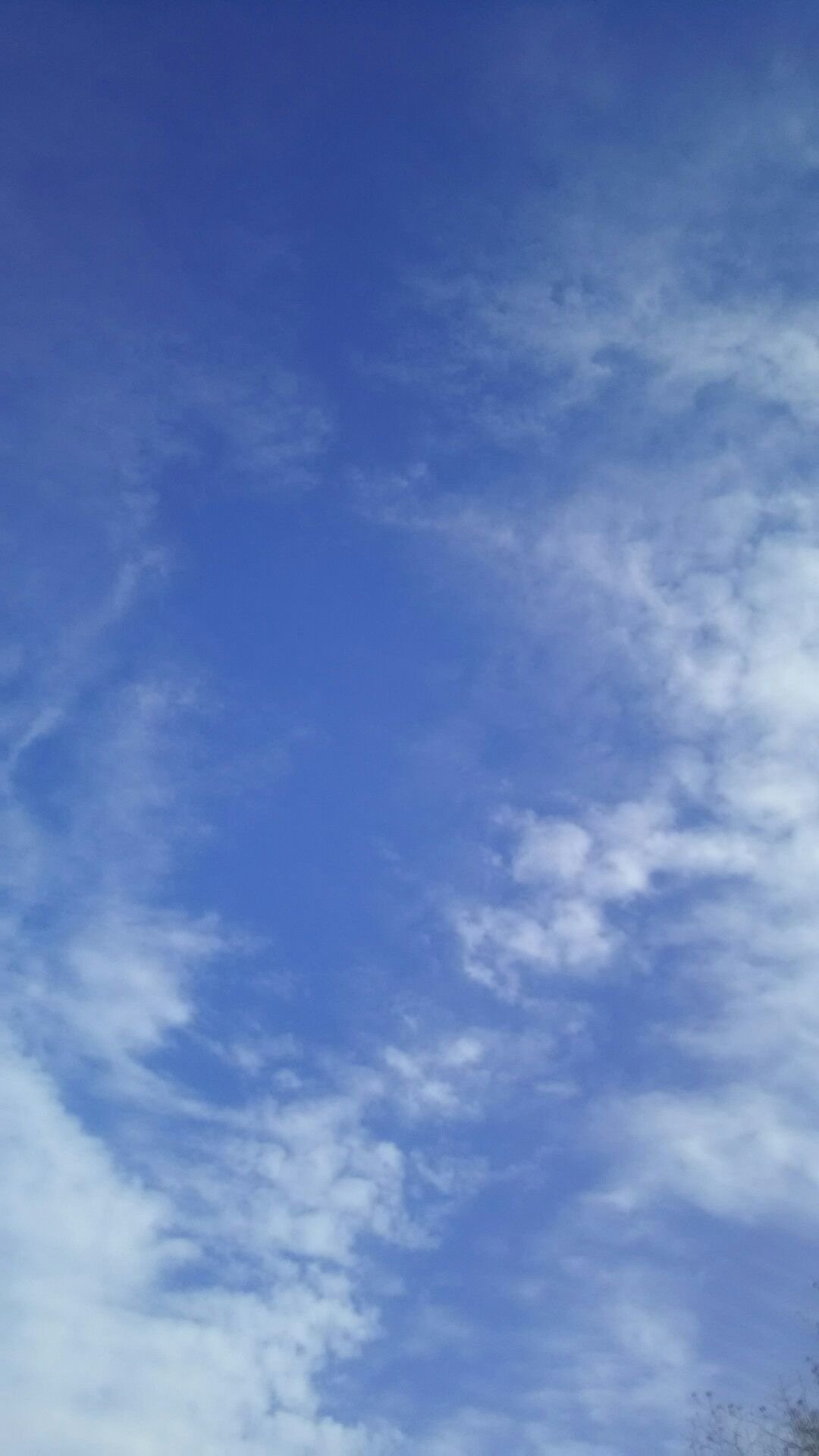冬のお昼の空と雲 白猫コタロウ 桜猫ミミ コタミミ Note 冬のお昼の空と雲 白猫コタロウ 桜猫ミミ コタミミ Note