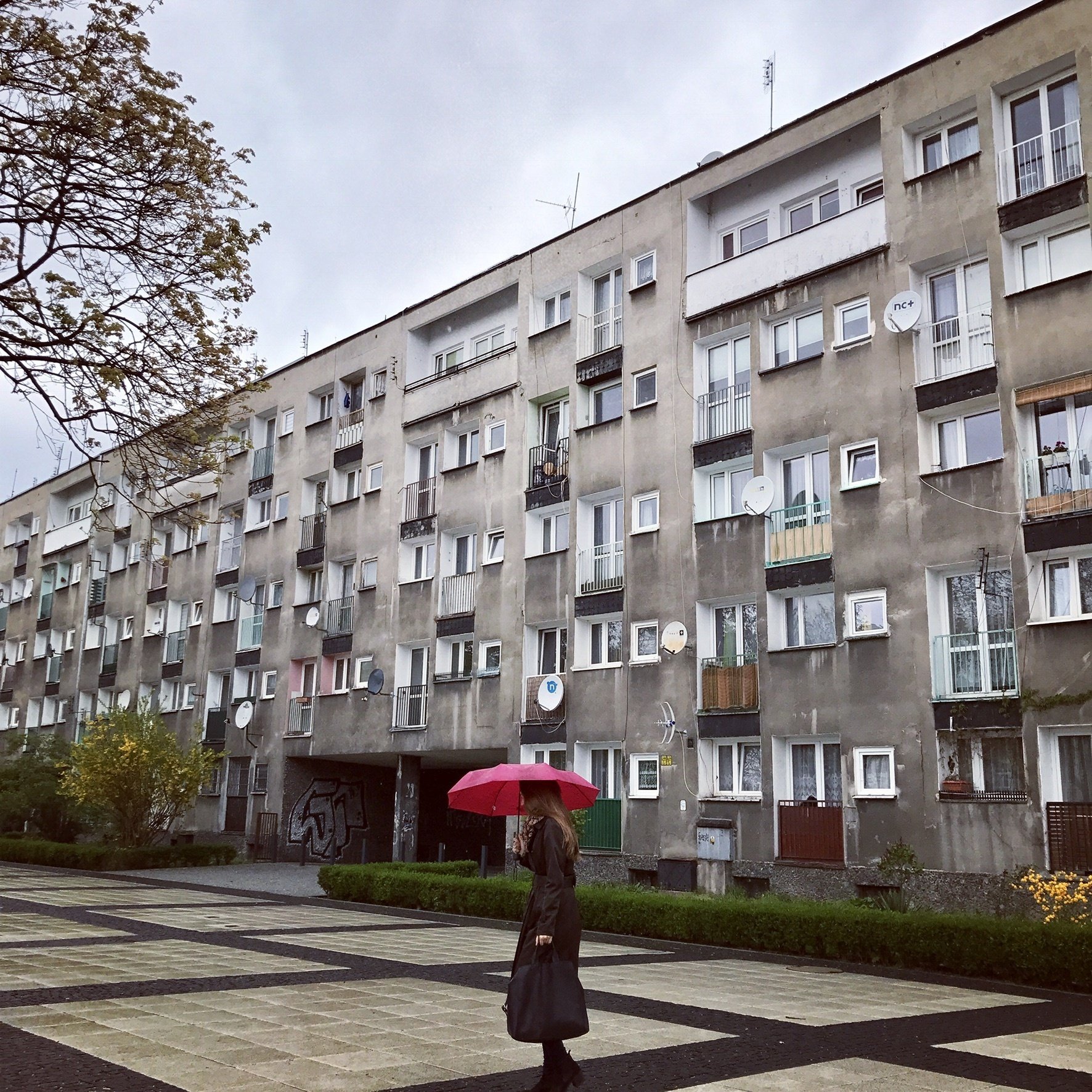 雨の中の美人 旅の記録 沖山りこ Note