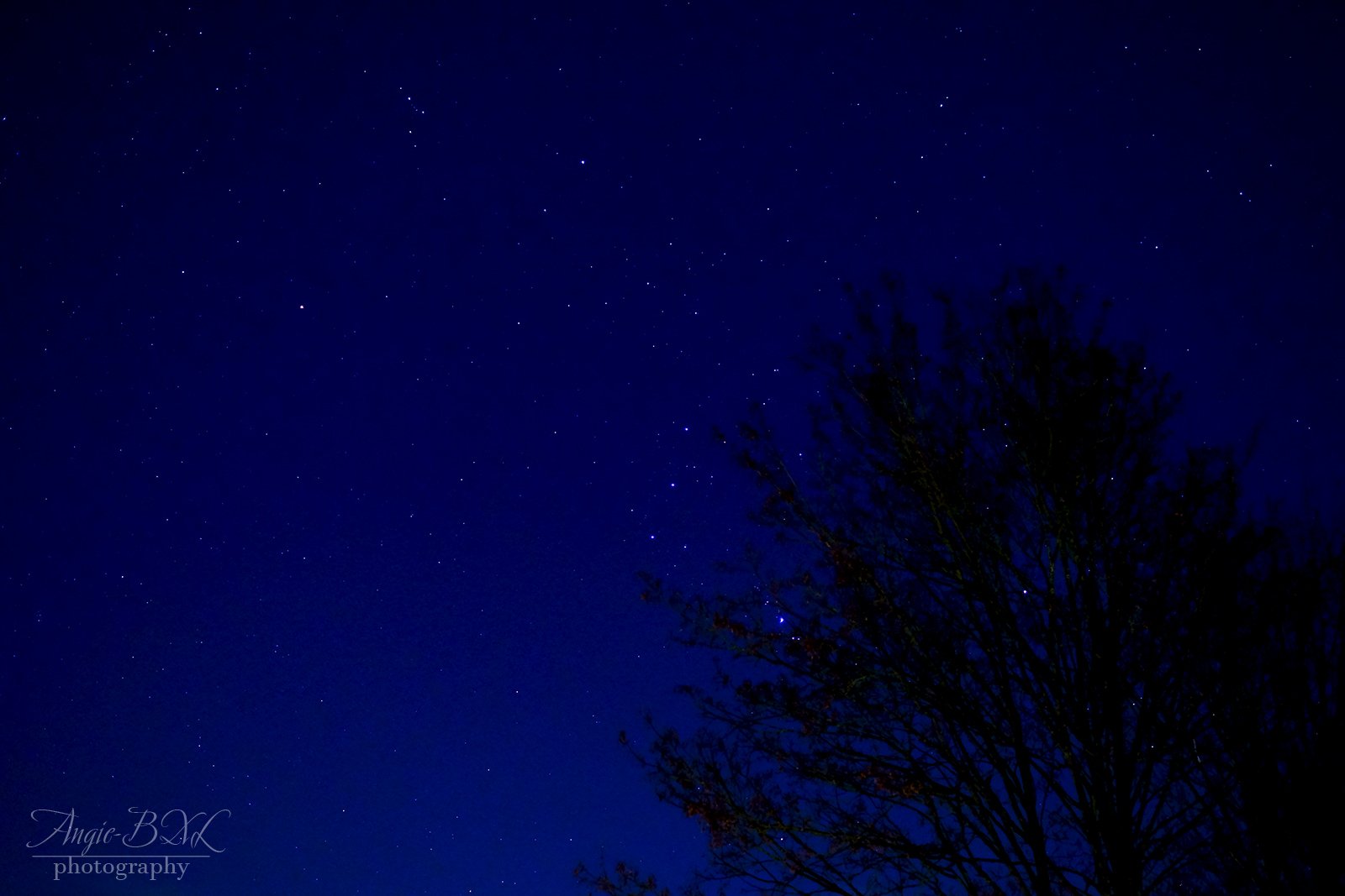 冬の夜空 Angie Bxl Note