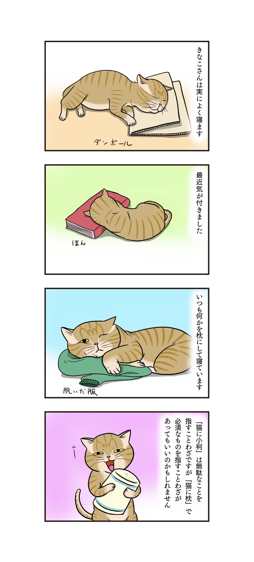 猫と一緒に寝る人は病気に注意 気を付けたい添い寝 Mofmo