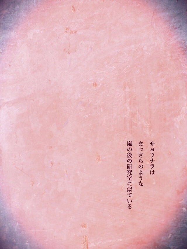 画像21