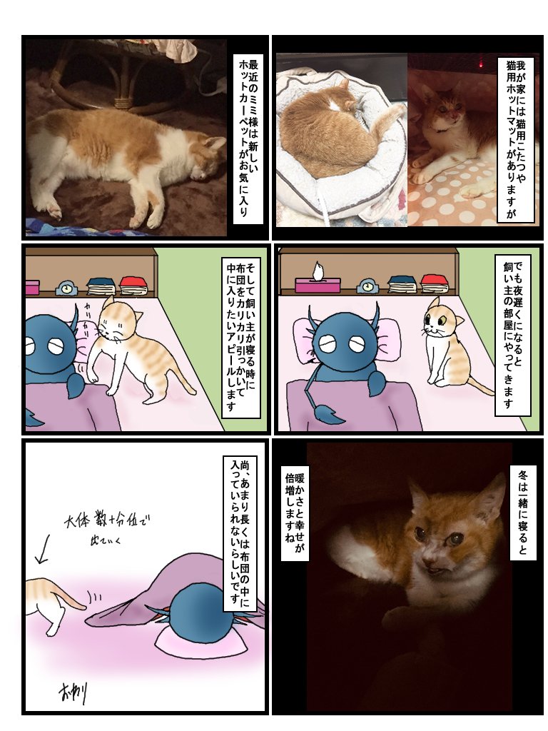 エッセイ漫画第47話 猫と冬のぬくもり 広翼 Note エッセイ漫画第47話 猫と冬のぬくもり 広翼 Note