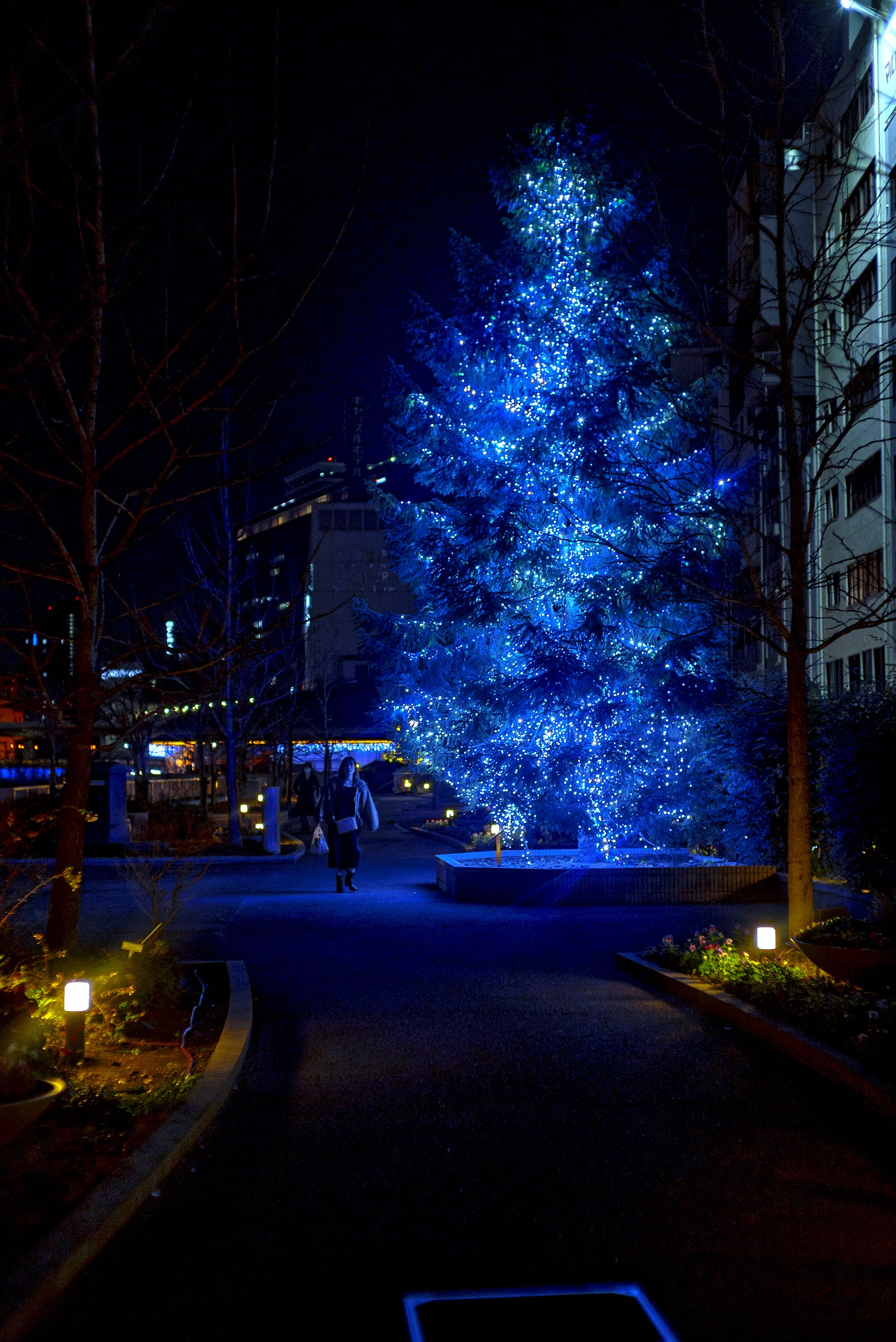 BLUE LED TREE -- HAKKENYA-HAMA|OsakaNostalgia