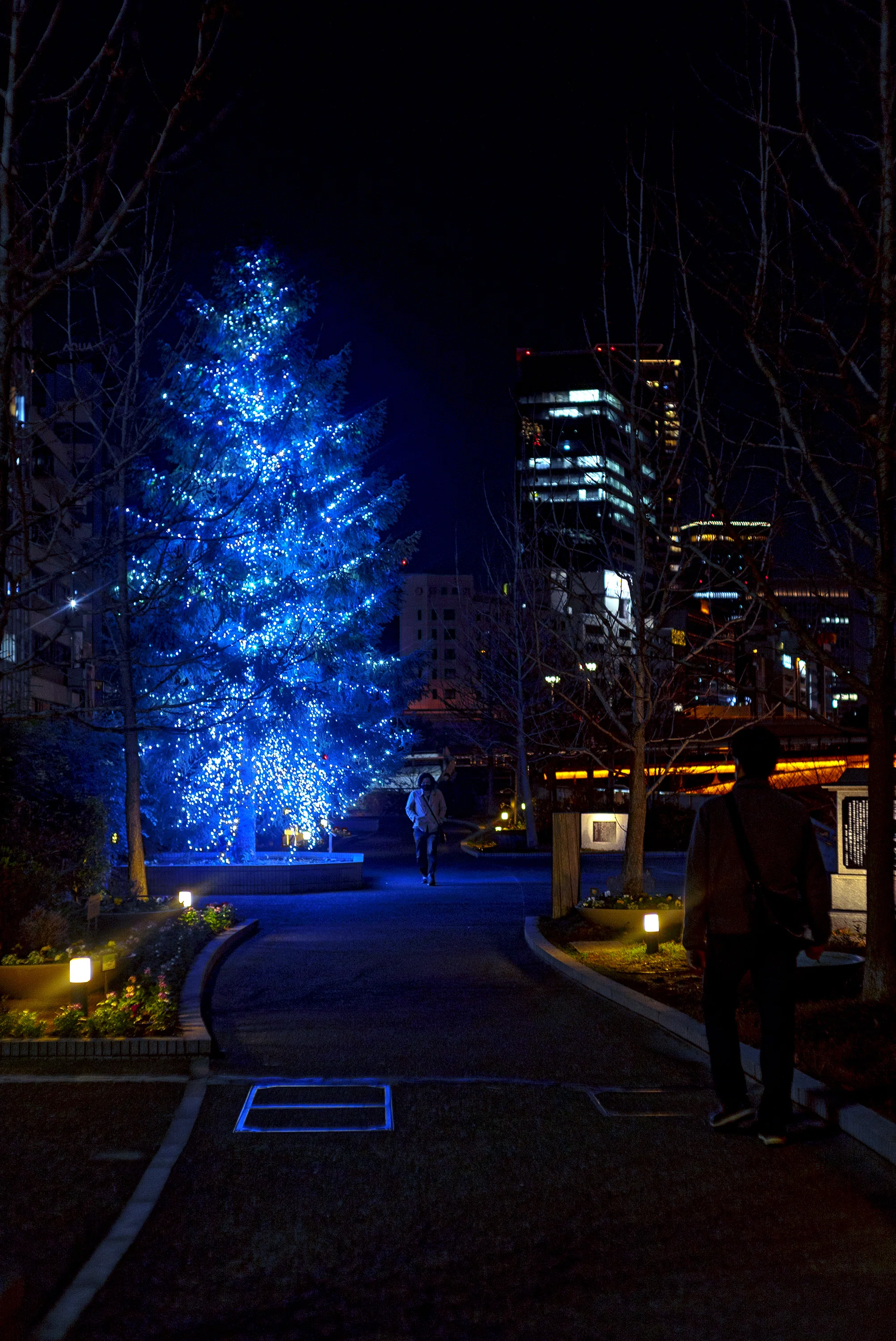 BLUE LED TREE -- HAKKENYA-HAMA|OsakaNostalgia