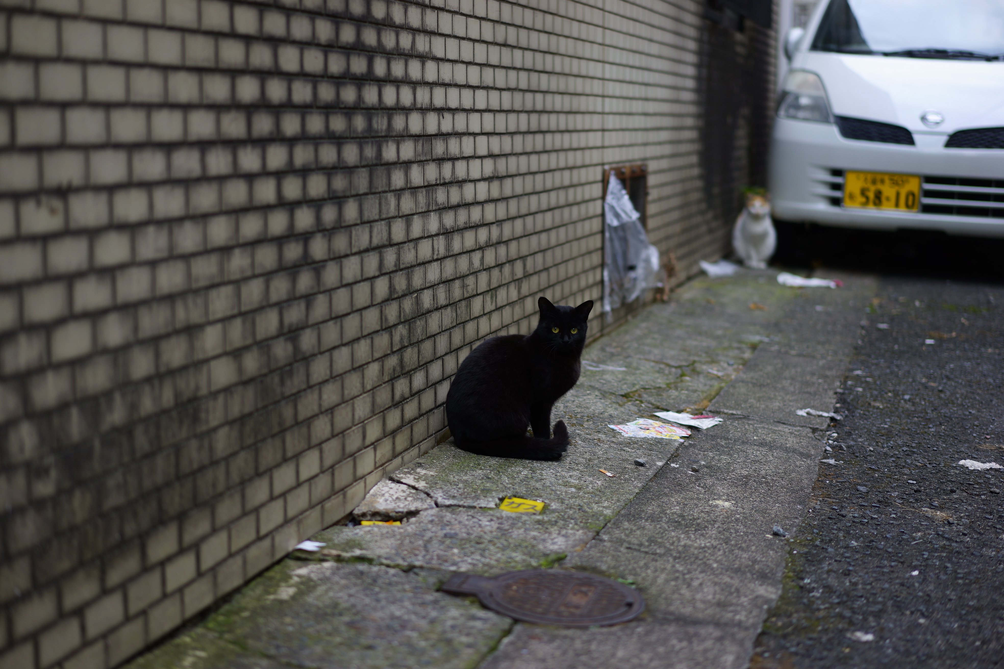 都会の路地裏の黒猫 カセットboy Note