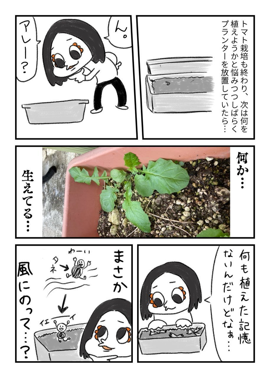 第7話 出不精女がゆるくベランダ活動始めてみた ベランダに次々とプレゼント 目指せ運気アップ 浅水アサム Note 第7話 出不精女がゆるくベランダ活動始めてみた ベランダに次々とプレゼント 目指せ運気アップ 浅水アサム Note