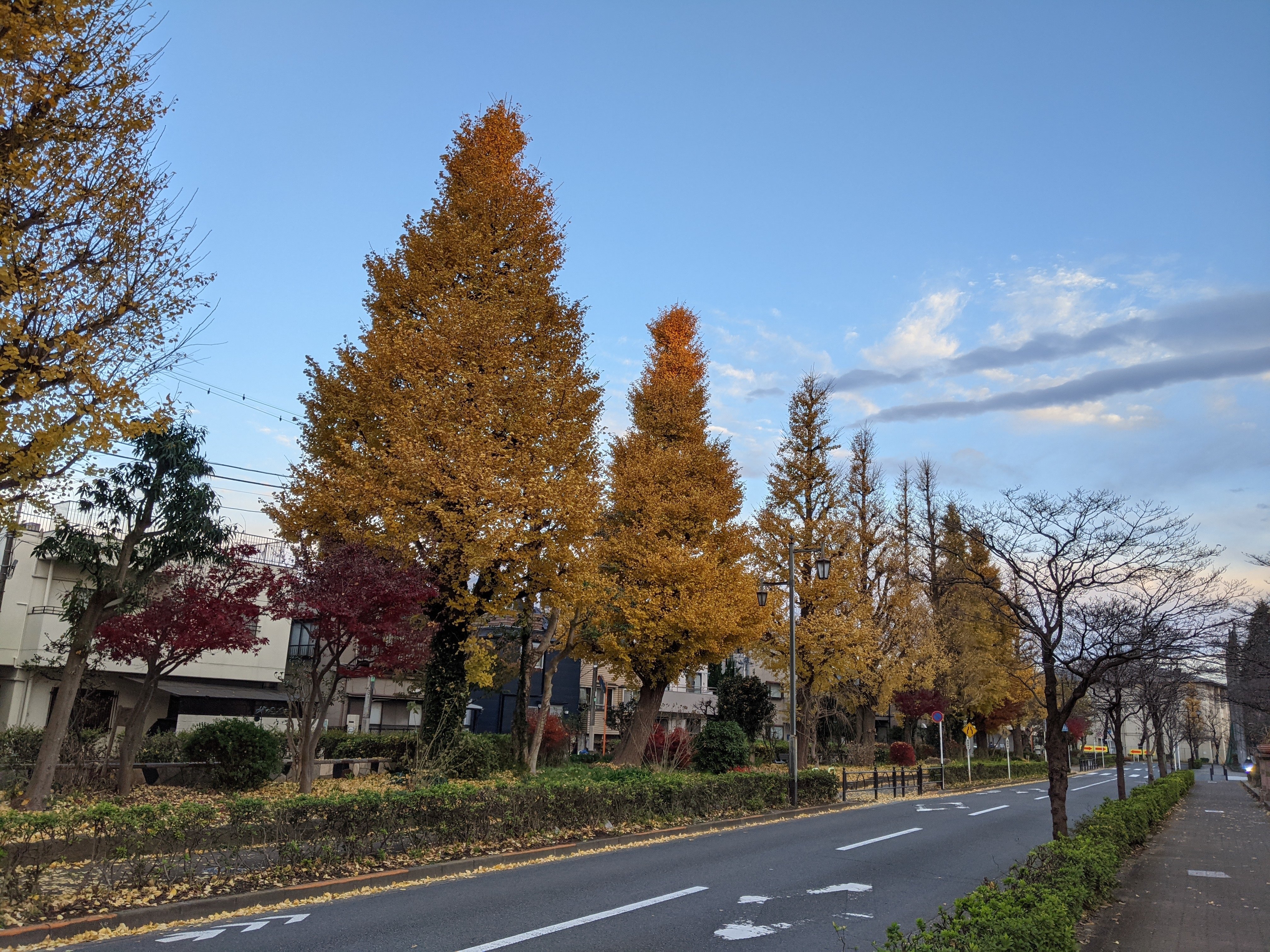 秋の景色 黄葉 Hanauta Note
