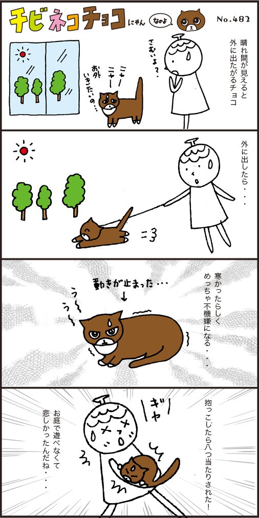 出たがるから外に出したらキレられた 猫のチョコってわがまま まつぼっくり Note 出たがるから外に出したらキレられた 猫のチョコってわがまま まつぼっくり Note