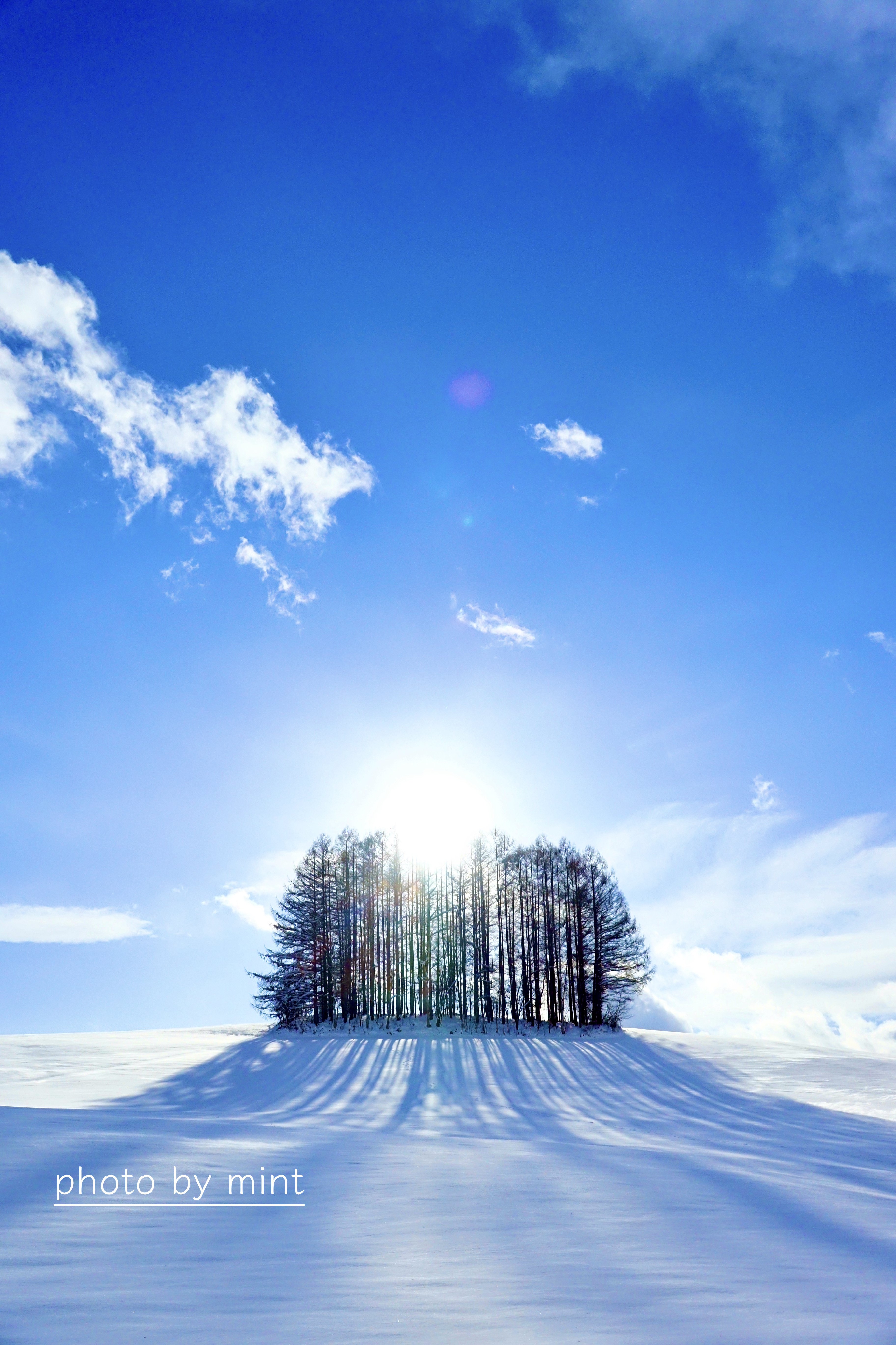 冬の太陽はありがたい きたのmint Note