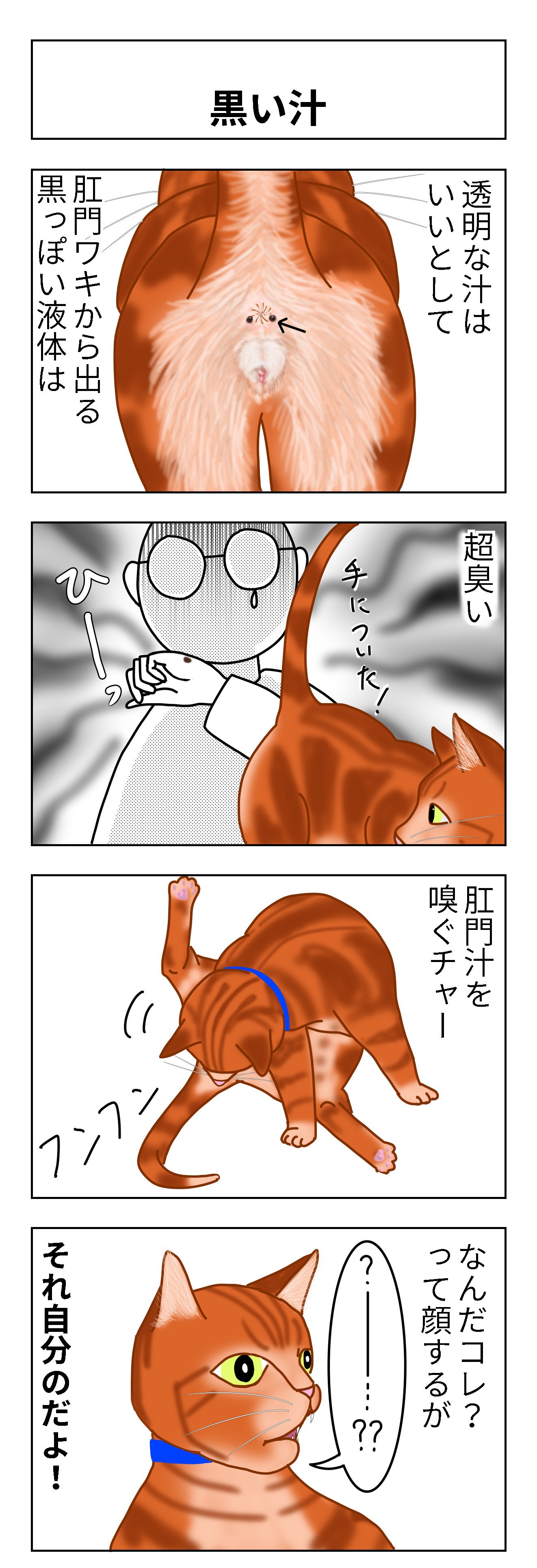 猫と雑に生きる67 Suzansa Note 猫と雑に生きる67 Suzansa Note