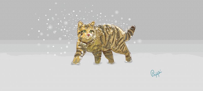 雪まみれ猫