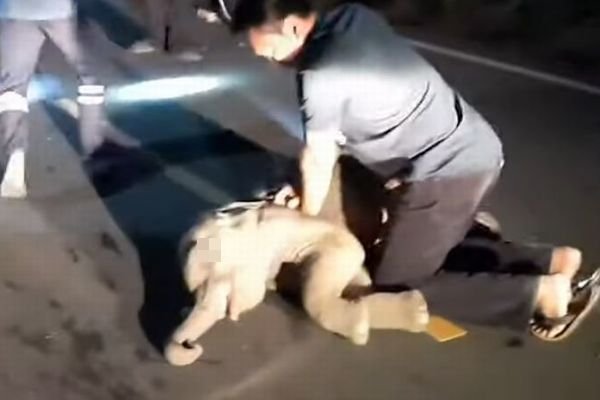 タイでバイクとゾウの赤ちゃんが衝突 救急隊員が懸命の心臓マッサージ Switch News Note タイでバイクとゾウの赤ちゃんが衝突 救急隊員が懸命の心臓マッサージ Switch News Note
