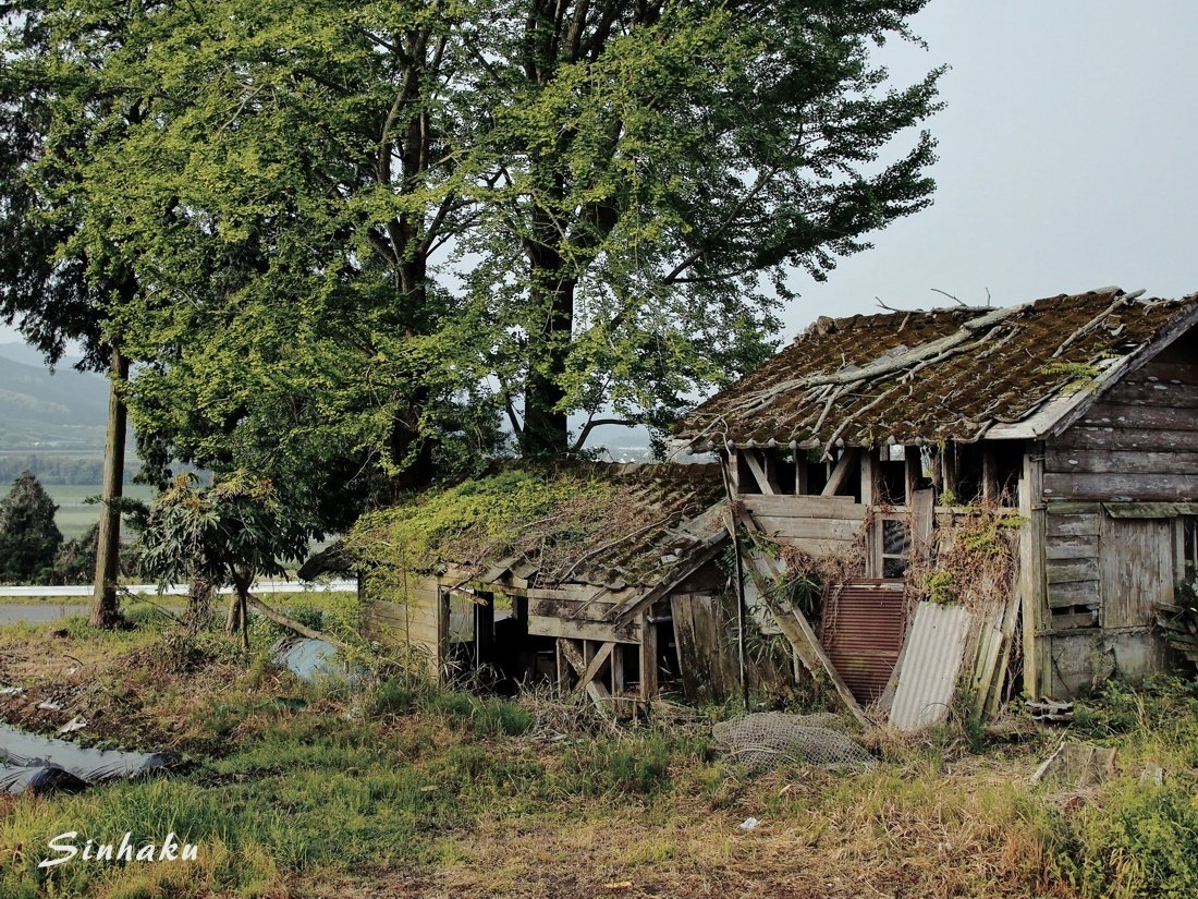 小屋のある風景 しんはく Note 小屋のある風景 しんはく Note