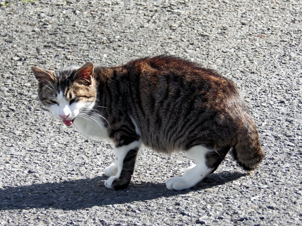何だ やんのかコラ 佐久間ディック Note 何だ やんのかコラ 佐久間ディック Note