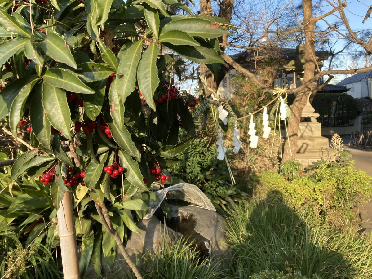画像
