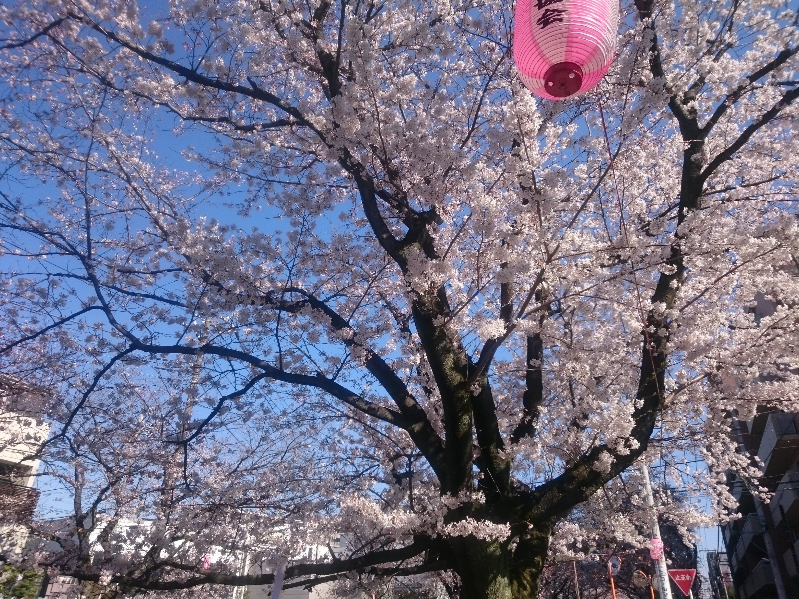 日本らしいもの画像 すんすん Note