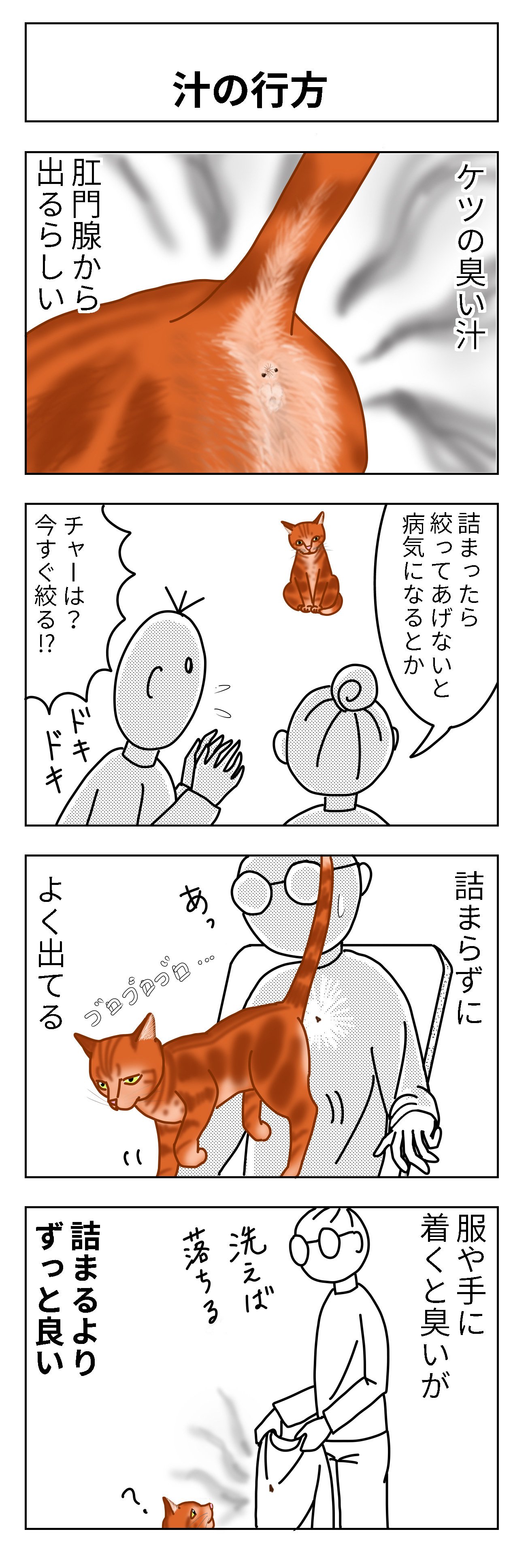 猫と雑に生きる68 Suzansa Note 猫と雑に生きる68 Suzansa Note